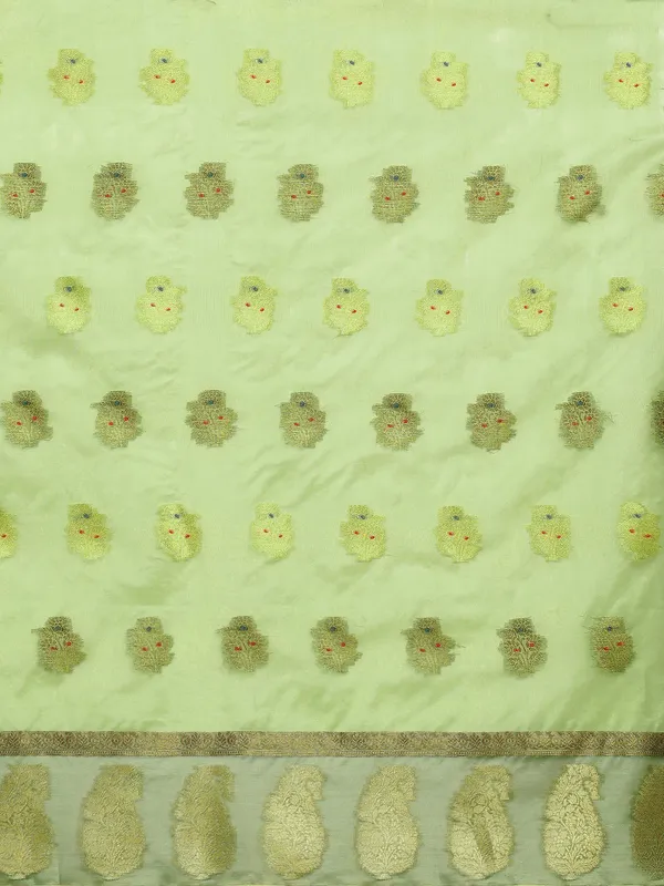 See_Green_Organza_Silk_Saree